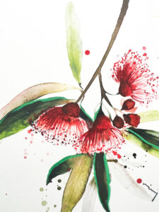 Australian native flower ~ Flowering Gum art print - Image 5
