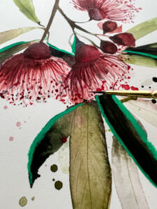 Australian native flower ~ Flowering Gum art print - Image 4