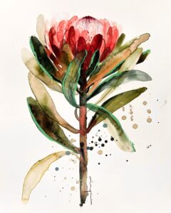 Australian native flower ~ Protea watercolour fine art print - Image 4