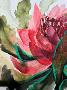 Exquisite Waratah Fine Art Print: Captivating Australian Botanical Wall Decor - Image 2
