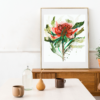 Exquisite Waratah Fine Art Print: Captivating Australian Botanical Wall Decor - Image 3