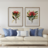 Exquisite Waratah Fine Art Print: Captivating Australian Botanical Wall Decor - Image 4
